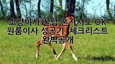소량이사 꿀팁🍯 혼자서도 OK! 원룸이사 성공기 & 체크리스트 완벽공개!
